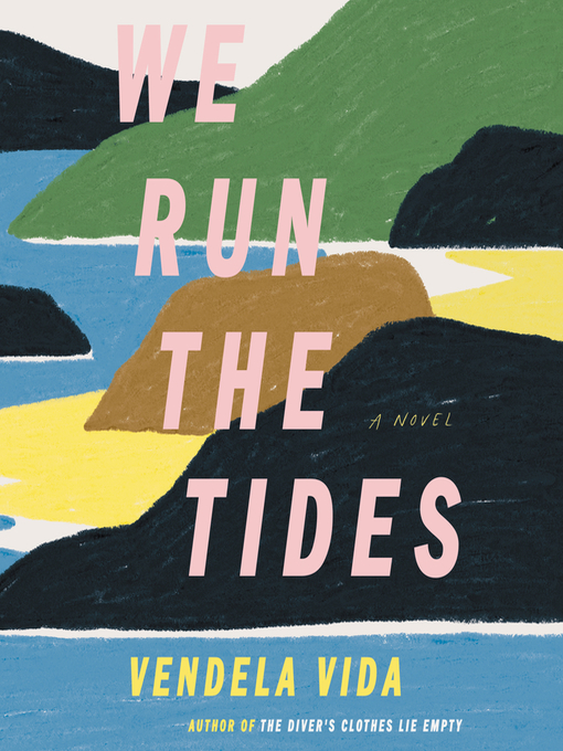 Title details for We Run the Tides by Vendela Vida - Wait list